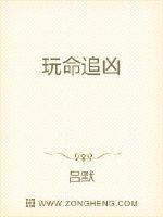 玩命追凶在线观看完整免费高清