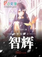 神奇宝贝之智辉有没有女主