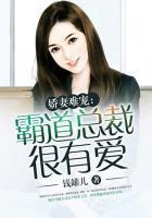 霸道总裁宠娇妻网剧