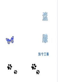 迷踪手游