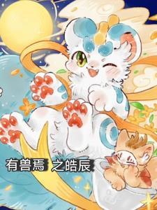 有兽焉之皓辰这个世界的修仙等级