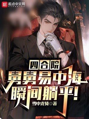 四合院易中海是我舅舅