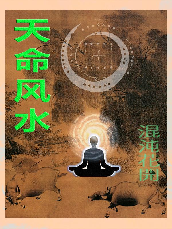 天命风水录在线阅读