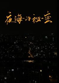 夜海的秘密这首歌表达的