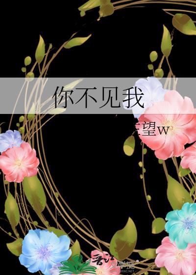 你不见我资源