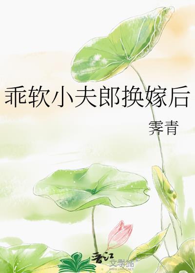乖软小夫郎换嫁后全文阅读