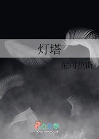 灯塔专业版