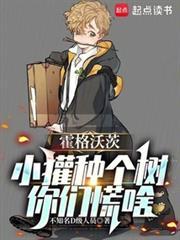 霍格沃兹之獾