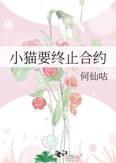 小猫要终止合约by笔趣阁更新时间
