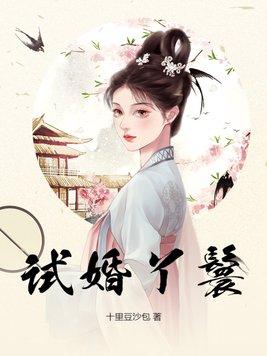 试婚丫鬟姑爷待我比夫人好吗原耽