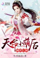 倾世红颜和亲公主