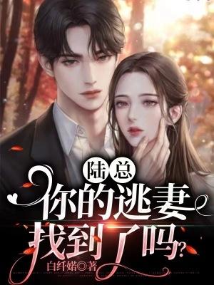 陆总,你的逃妻找到了吗?