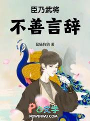 大宋悍臣