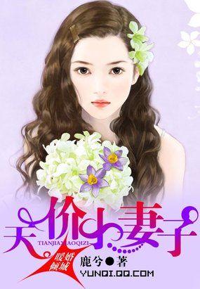 暖婚倾城:天价小妻子